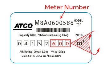 Gas Meter Number